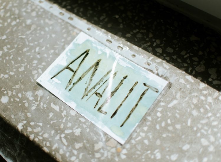 portfolio